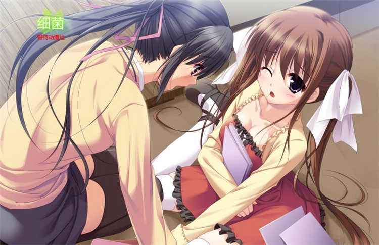 声优日活Voice Actress [休闲游戏/中文] PC游戏