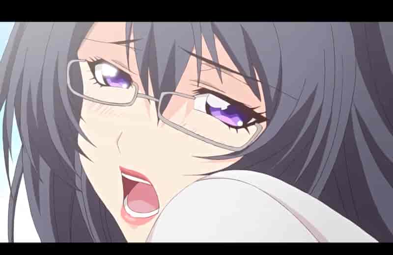 【经典老番/中字】2016年12月里番合集【熟肉/1.7G/10V】