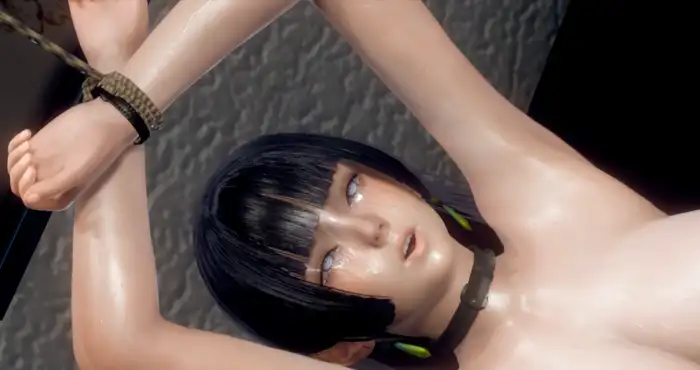 szyca：雏田NTR2 [3D动漫/NTR/CV][1.5G]