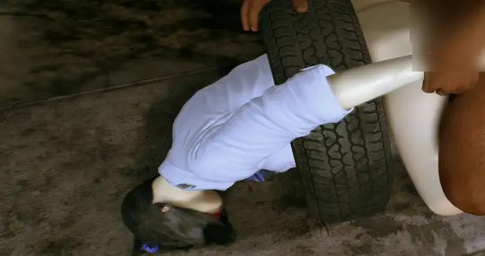 fengying：捡尸(下) 清纯美少女惨遭凌辱侵犯中出 [3D动漫/NTR/VAM]  [2G]