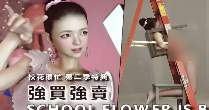 校花很忙 第二季特典 强买强卖+画册【漫画/3D/全彩/无修】【330M】