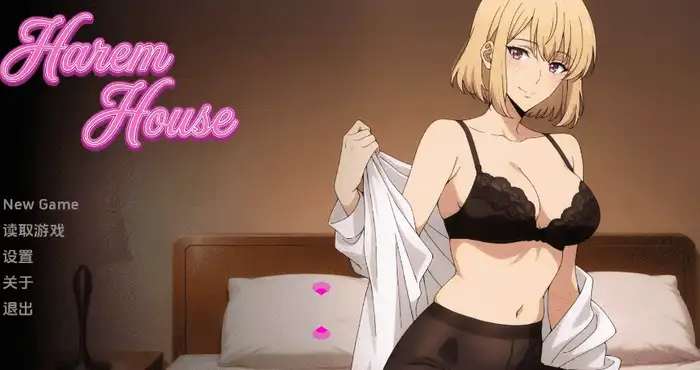 后宫之家/Harem House v0.1.1 汉化版【同人SLG/动态】PC+安卓